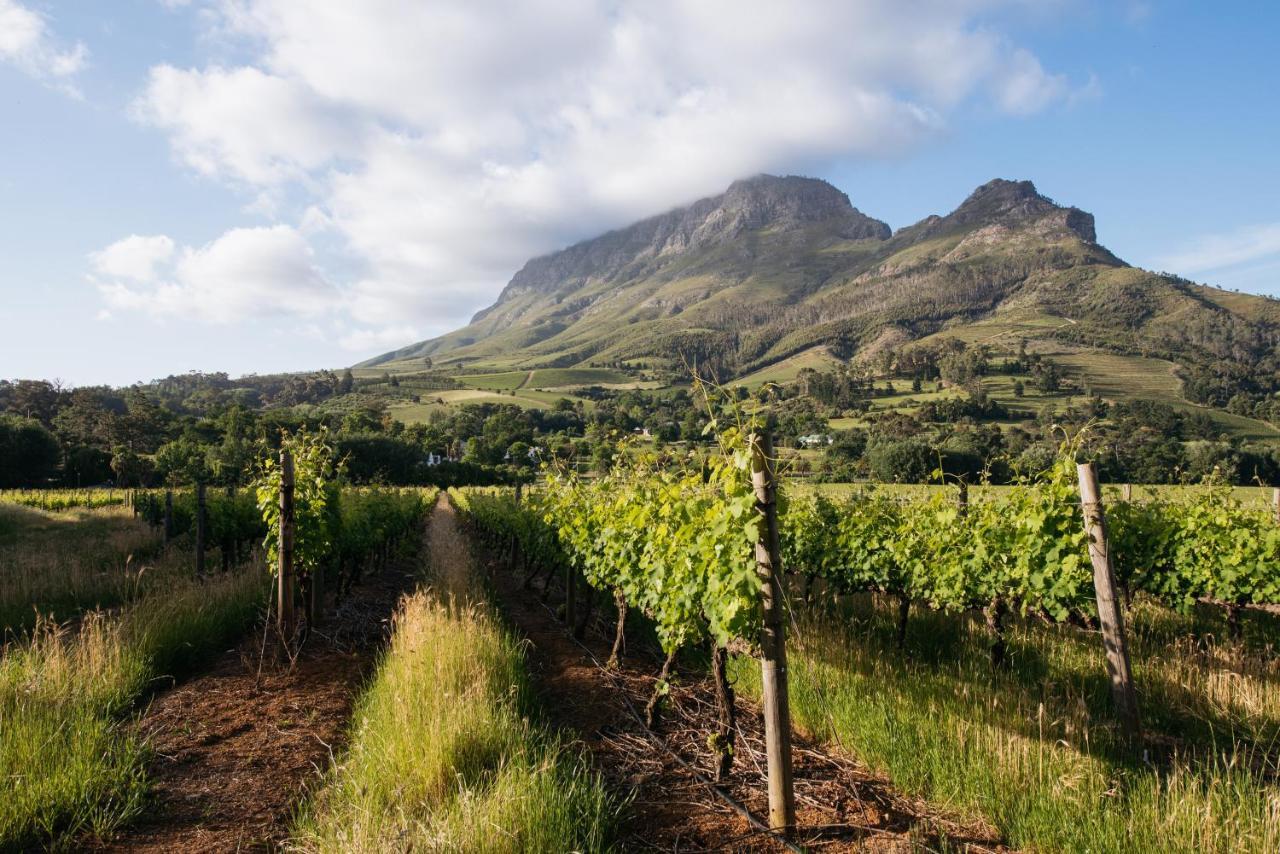 Banhoek Lodge Stellenbosch Kültér fotó