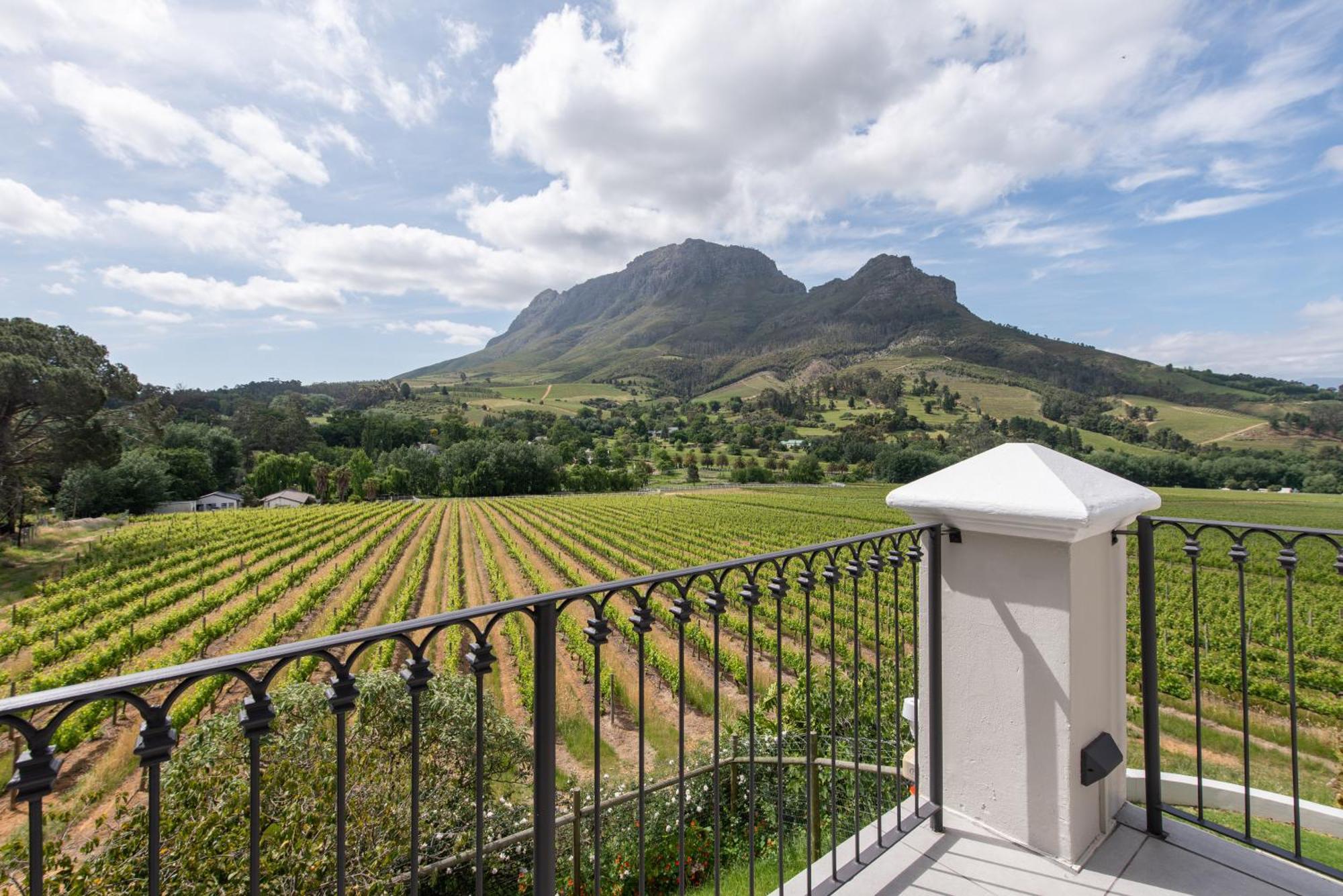 Banhoek Lodge Stellenbosch Kültér fotó