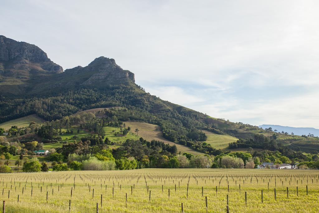 Banhoek Lodge Stellenbosch Kültér fotó